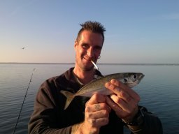 Competities HSV Alfheim